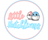 Little hatchlings childcare