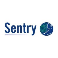 Lone sentry ltd.