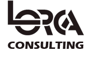 Lorca consulting ltd