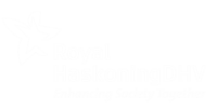 Ocean shipping consultants