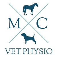 Michaela catterall veterinary physiotherapy