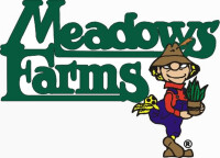 Meadow farm nursery limited