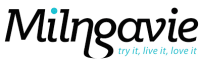 Milngavie town centre bid ltd