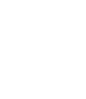 Mito new zealand