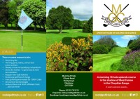 Mold golf club
