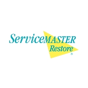 Servicemaster dsi