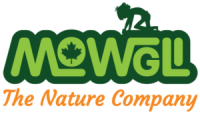 Mowgli