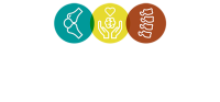 Msk rehabilitation