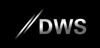 Dws group