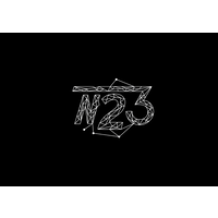 N.twenty3