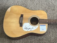 Nugent guitars limited