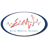 Elite medical scribes