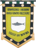 Newquay old cornwall society