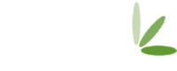 Olive plumbing & heating ltd
