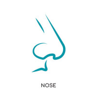 On the nose