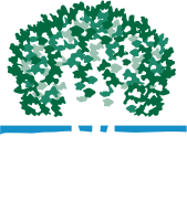 The city of lake forest