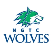 North georgia technical college