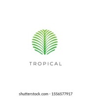 Palm design ltd.