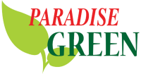 Paradise green