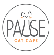 Pause cat cafe