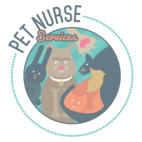 Pet nurse services