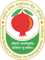 Pomegranate consultants limited