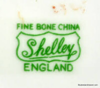 Potter shelley