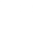 Promoveo italia srl