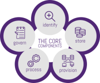 Raw data strategy limited