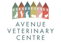 Avenue veterinary surgery
