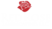 Red rose landscapes