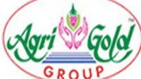 Agrigold
