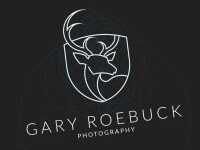 Roebuck photography