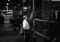 Ron quinton racing stables