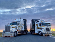 Rsd transport ltd