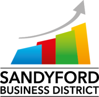 Sandyford consultants limited