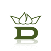 Dixon golf, inc.