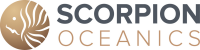Submarine cable from scorpion oceanics