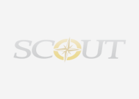 Scout management