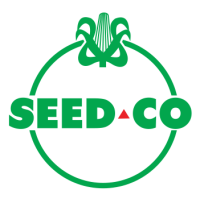 Seed pakistan