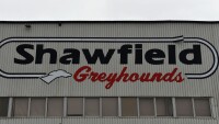 Shawfield greyhounds