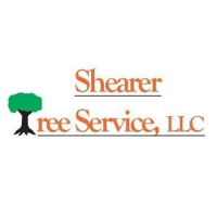 Shearer tree services