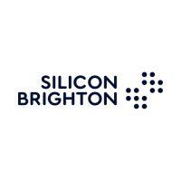 Silicon brighton