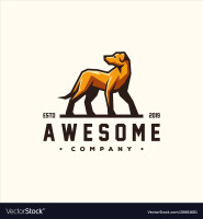 Smart brown dog