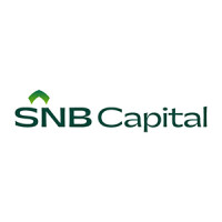 Snb investment