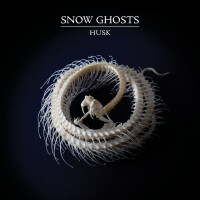 Snow ghosts