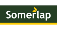 Somerlap pallets