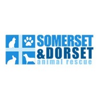 Somerset and dorset animal rescue