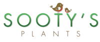 Sootys plants tarleton