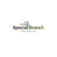 Special branch tree care ltd